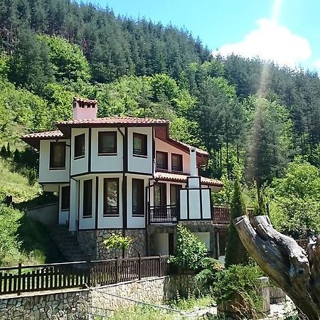 Villa Persenk Lyaskovo  部屋 写真