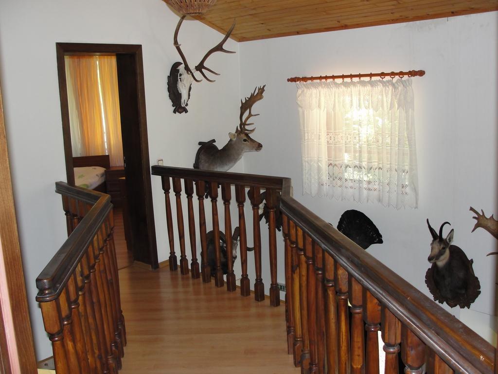 Villa Persenk Lyaskovo  部屋 写真